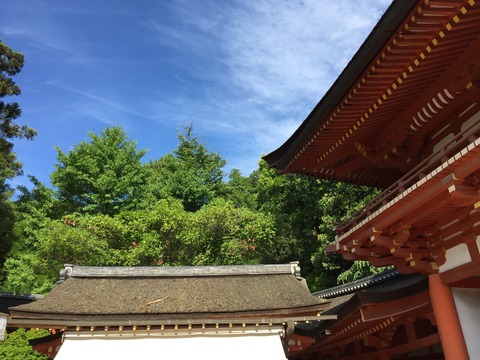 81a969c9.jpg