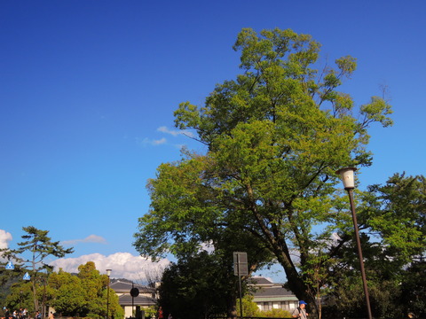 8870ee65.jpg