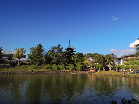 a9546917.jpg