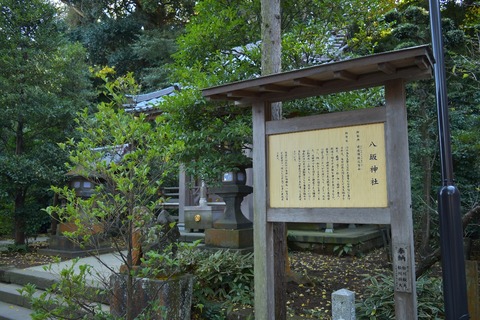 bfb9704f.jpg