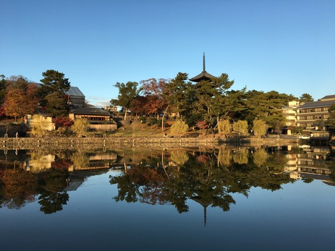 20161125_065425949_iOS