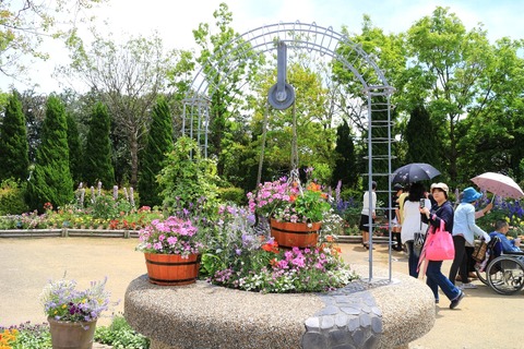 c771de39.jpg
