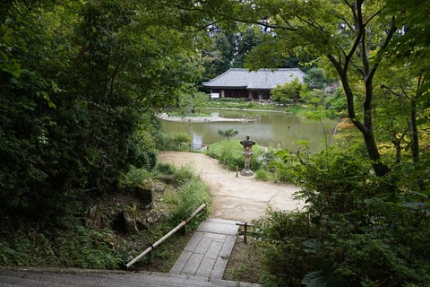 c82b9a5e.jpg