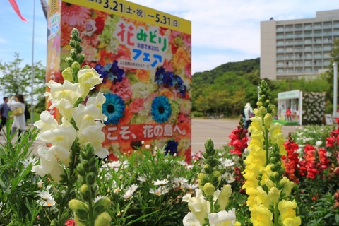 d9655bd6.jpg