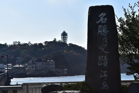 d99b995f.jpg