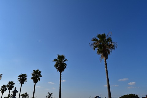 fb556f47.jpg
