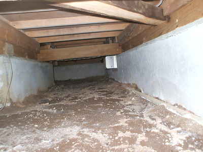 DSCF7065
