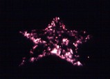 0ec5692b.jpg