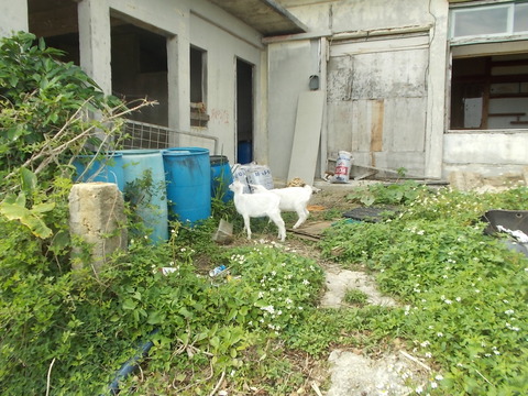 DSCN3725