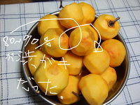 BlogPaint
