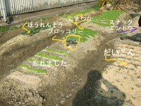 BlogPaint