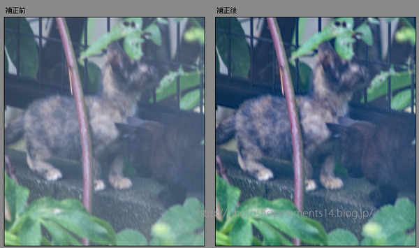 かすみの除去004
