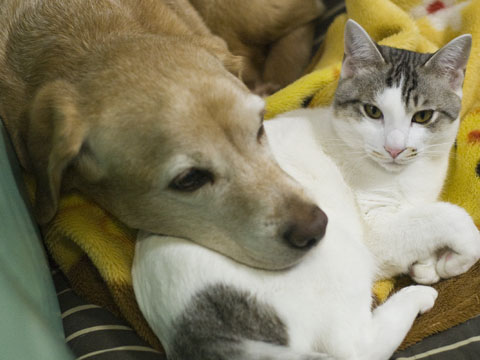 ȋȑqZ 237rڔLKCWuX [f]ڋ֎~]©bbspink.com	YouTube>1{ ->摜>3567 