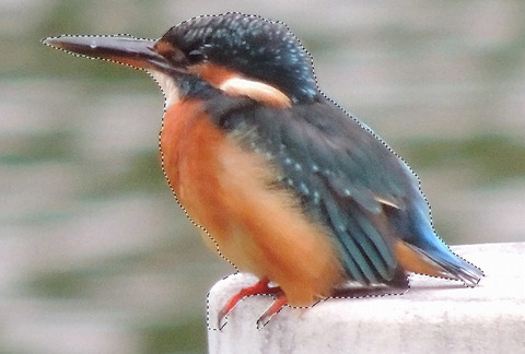 クイック選択ツール sentaku10