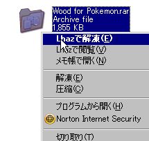 WS000039