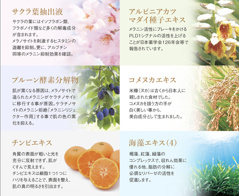 seibun