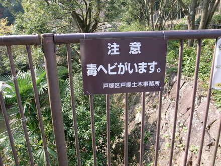 まさかりが淵「毒ヘビ注意!?」