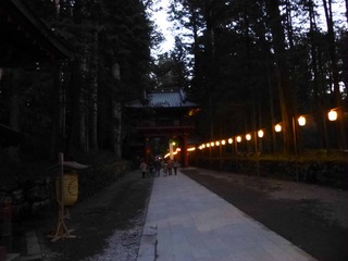 P1030252
