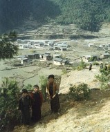 9d2250ab.jpg