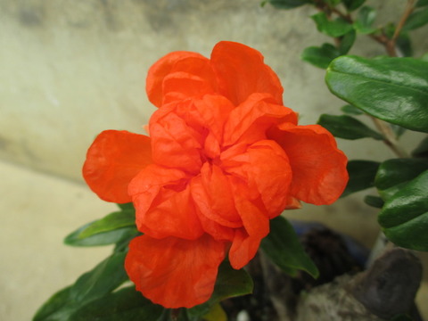 30062030-s.jpg