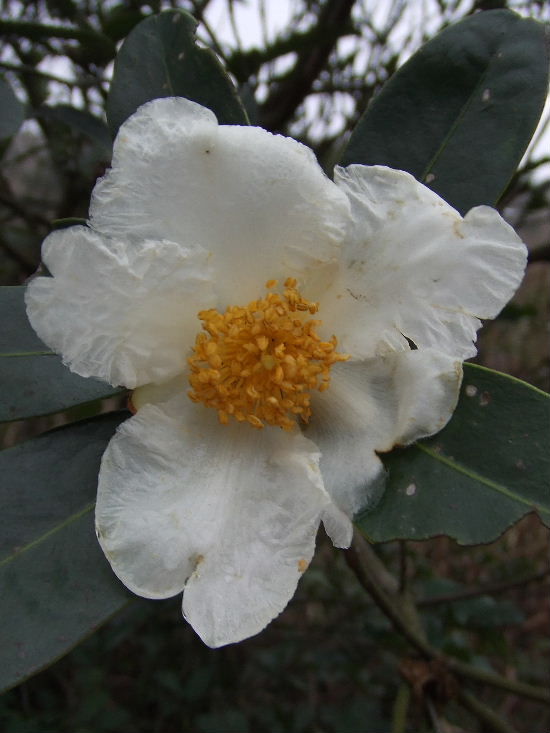 2010_01300454