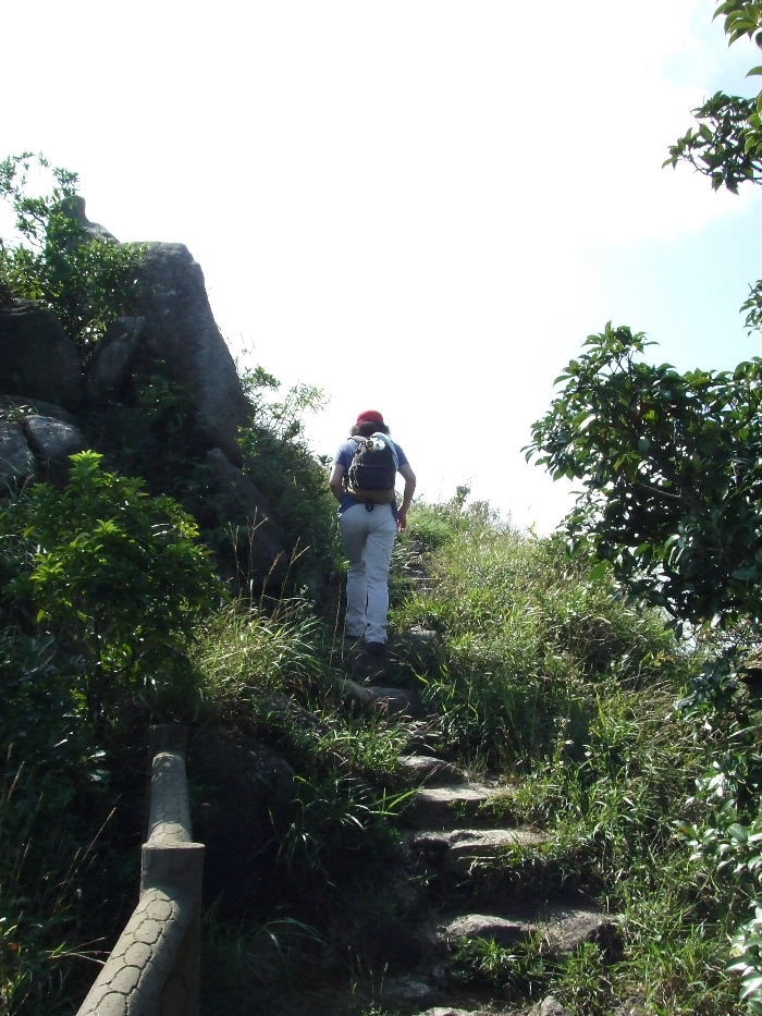 2010_10160413