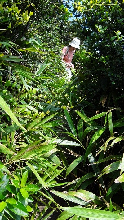 DSC02208