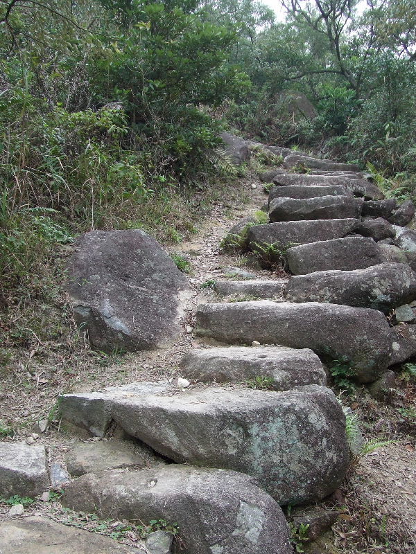2010_01300301