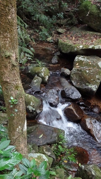 DSC01150