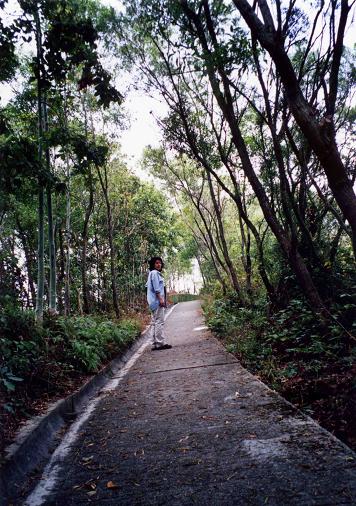 377f09e8.jpg