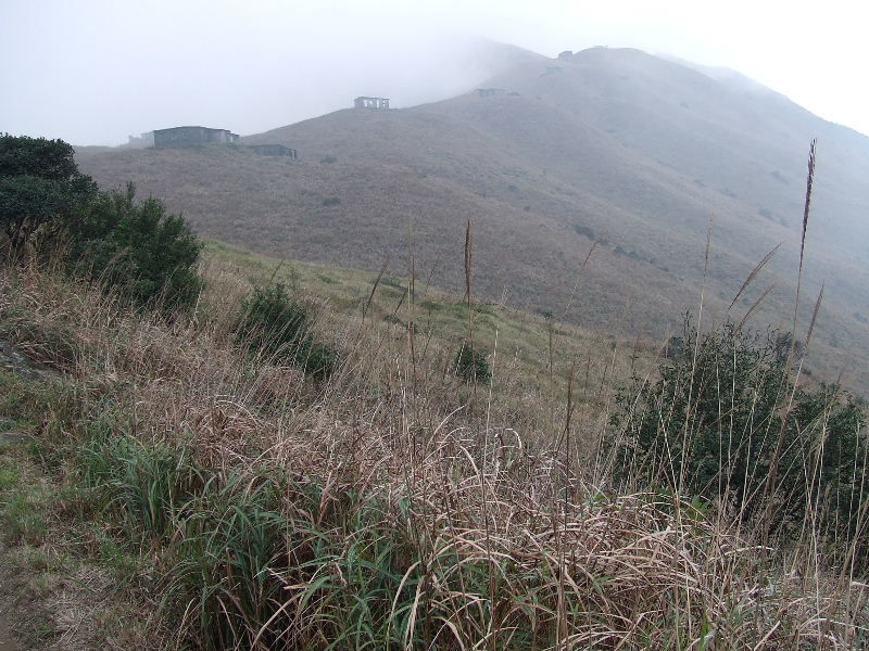2010_01300392