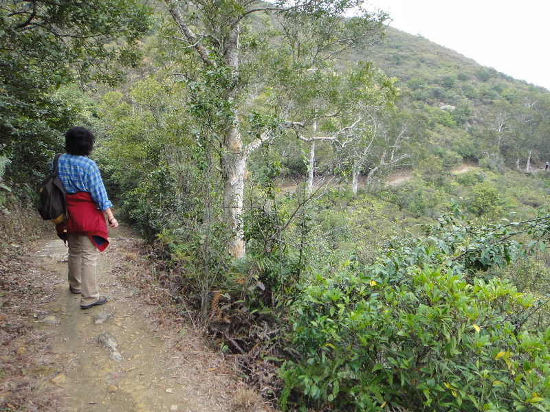 DSC00874