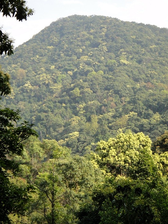DSC07835