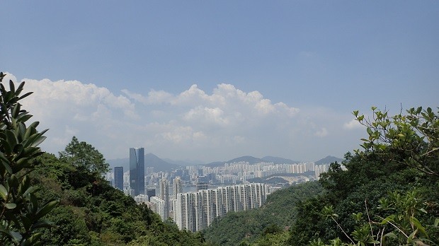 060-1