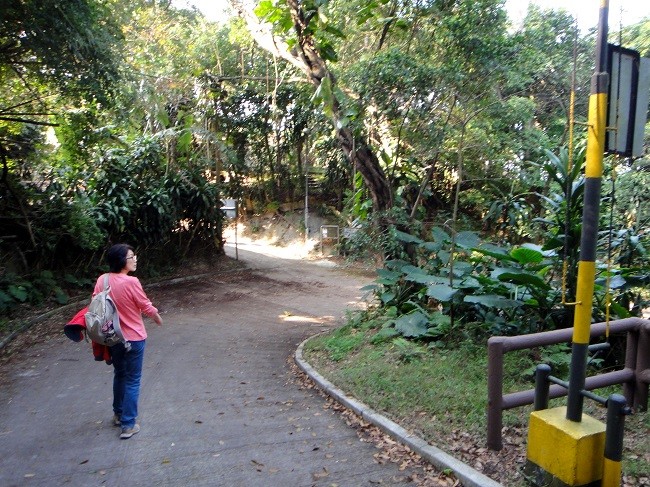 DSC07832