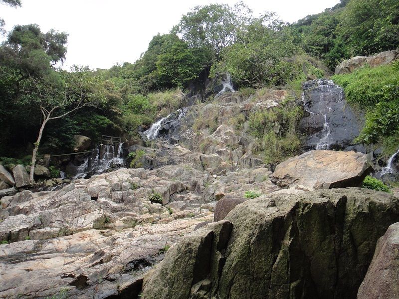 DSC00217