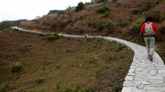 DSC08102