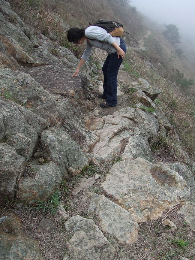 2010_01300436