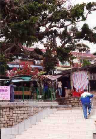 ae372774.jpg