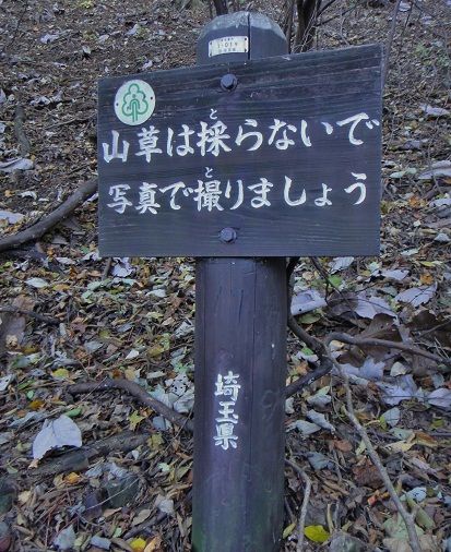 DSC00354