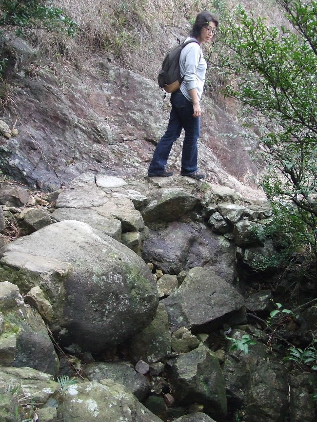 2010_01300442