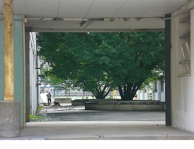 CheungShaWan78-7