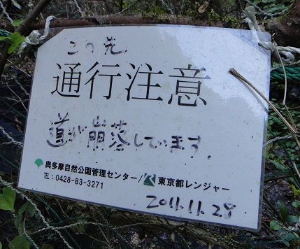 DSC00260