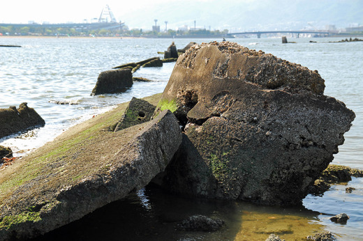 甲子園浜遺構 (7)