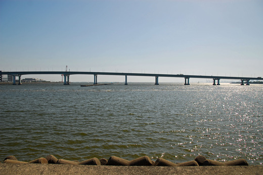 甲子園浜遺構 (4)
