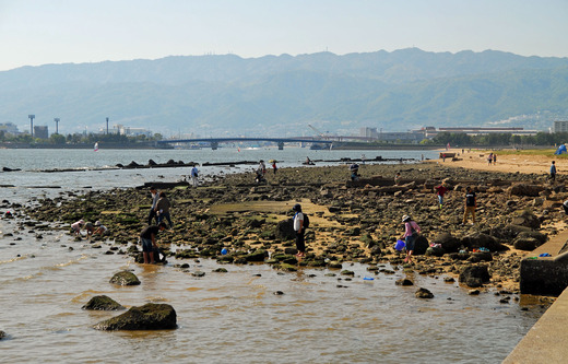 甲子園浜遺構 (9)