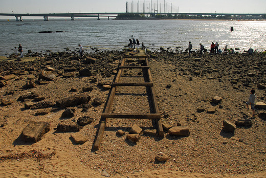 甲子園浜遺構 (30)