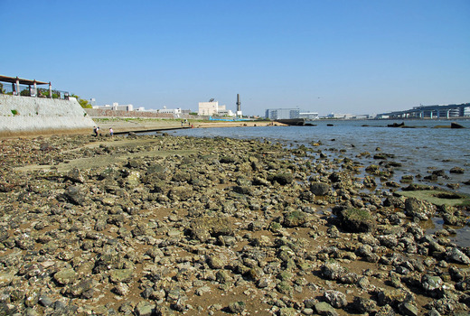 甲子園浜遺構 (21)