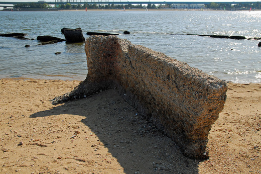 甲子園浜遺構 (28)