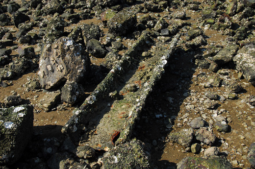 甲子園浜遺構 (18)